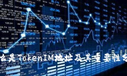 什么是TokenIM地址及其重要性分析