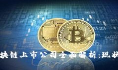 深圳区块链上市公司全面解析：现状与前景