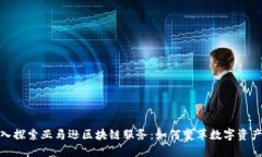 : 深入探索亚马逊区块链服务：如何变革数字资产