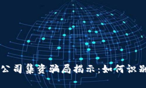 区块链公司集资骗局揭示：如何识别与防范