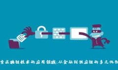 探索区块链技术的应用领域：从金融到供应链的