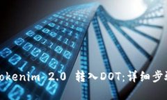 如何将Tokenim 2.0 转入DOT：详细步骤与解析