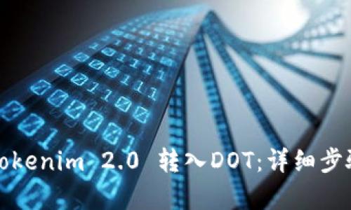 如何将Tokenim 2.0 转入DOT：详细步骤与解析