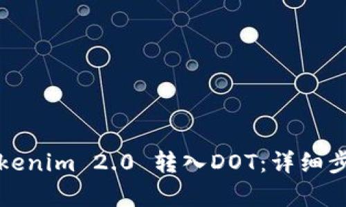 如何将Tokenim 2.0 转入DOT：详细步骤与解析