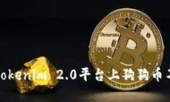 如何解决Tokenim 2.0平台上狗狗币不见的问题
