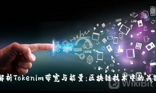 深入解析Tokenim带宽与能量：区块链技术中的关键要素
