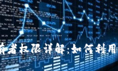 Tokenim 2.0 拥有者权限详解：如何利用权利提升投资收益