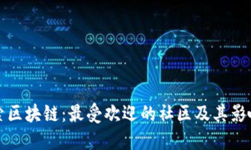 探索区块链：最受欢迎的社区及其影响力