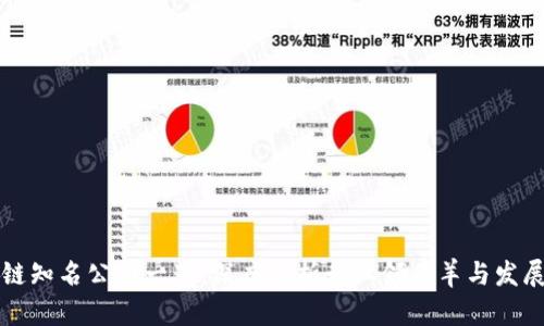 区块链知名公司一览：深度解析行业领头羊与发展趋势