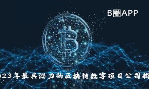 2023年最具潜力的区块链数字项目公司揭秘