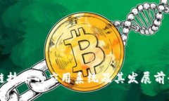 区块链技术的应用系统及其发展前景解析