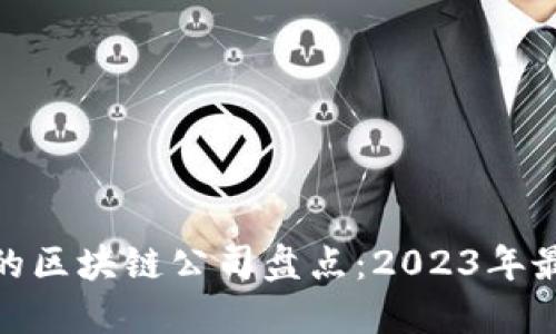 最稳定的区块链公司盘点：2023年最佳选择