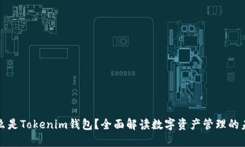 什么是Tokenim钱包？全面解读数字资产管理的未来