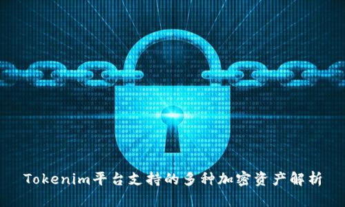 Tokenim平台支持的多种加密资产解析