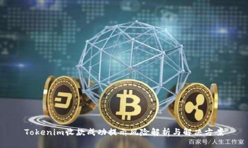 Tokenim收款成功提示风险解析与解决方案