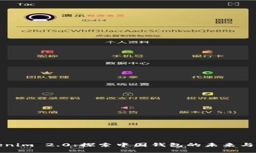 Tokenim 2.0：探索中国钱包的未来与潜力
