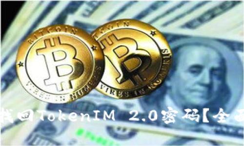 如何找回TokenIM 2.0密码？全面指南