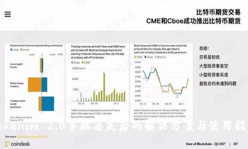 Tokenim 2.0手机丢失后的解决方案与使用指南