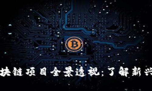 近期上线的区块链项目全景透视：了解新兴技术及其应用