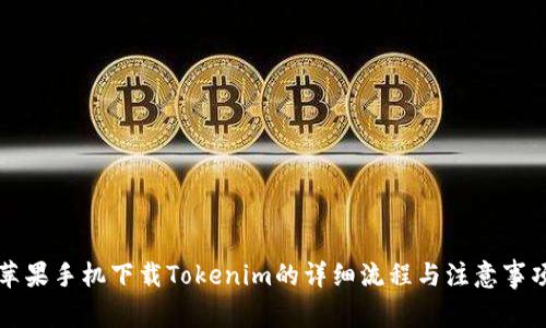 苹果手机下载Tokenim的详细流程与注意事项
