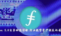 Tokenim 2.0交易回滚详解：防止数字资产损失的有效