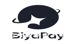 Tokenim 2.0倒闭对数字资产的影响与应对策略