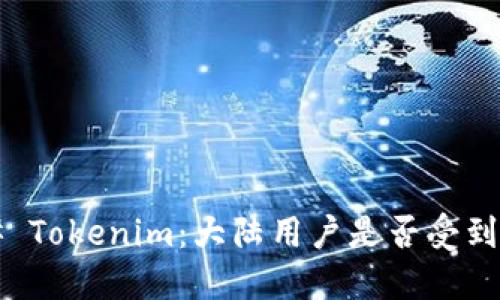### Tokenim：大陆用户是否受到限制？