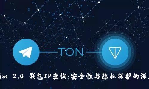 Tokenim 2.0 钱包IP查询：安全性与隐私保护的深度探讨