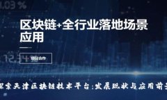 探索天津区块链技术平台：发展现状与应用前景