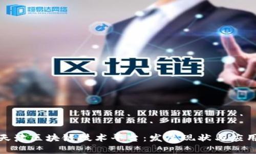 探索天津区块链技术平台：发展现状与应用前景
