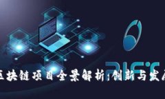 贵阳区块链项目全景解析：创新与发展机遇