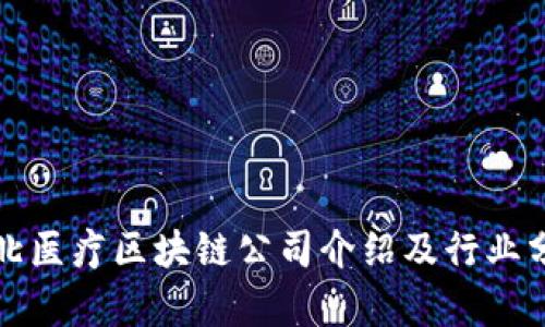 湖北医疗区块链公司介绍及行业分析