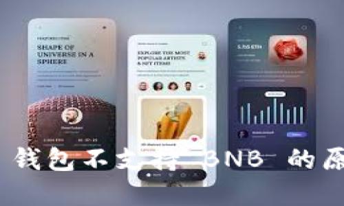 Tokenim 2.0 钱包不支持 BNB 的原因及解决方案