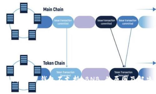 Tokenim 2.0 钱包不支持 BNB 的原因及解决方案