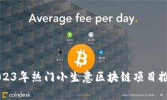 2023年热门小生意区块链项目推荐