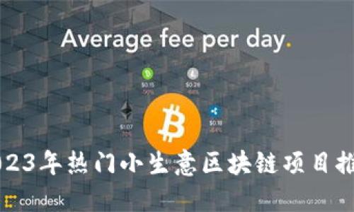 2023年热门小生意区块链项目推荐
