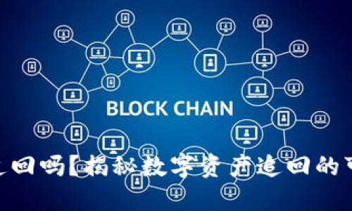 Tokenim能追回吗？揭秘数字资产追回的可能性与方法