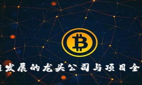 区块链发展的龙头公司与项目全面解析