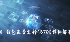 Tokenim 2.0 钱包是否支持 BTD？详细解答与投资指南