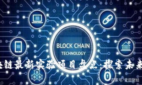 2023年区块链最新实验项目盘点：探索未来技术的前沿