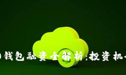 Tokenim 2.0钱包融资全解析：投资机会与市场前景