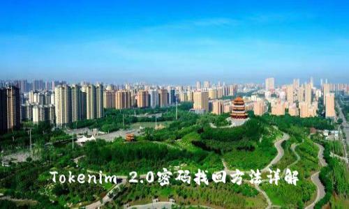 Tokenim 2.0密码找回方法详解