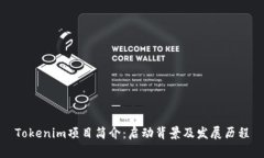Tokenim项目简介：启动背景及发展历程