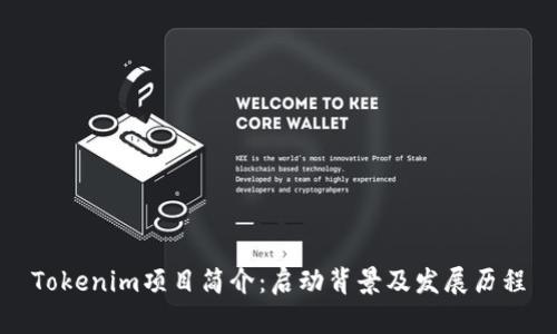 Tokenim项目简介：启动背景及发展历程