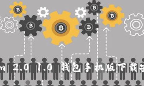TokenIm 2.0 1.0 钱包手机版下载安装指南