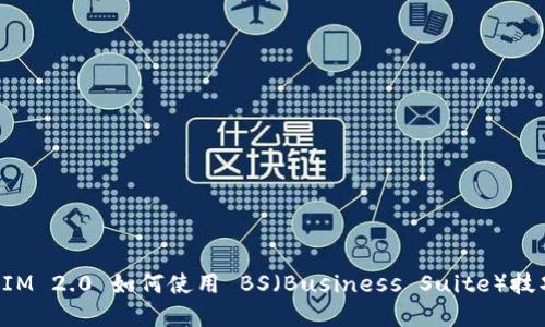 TokenIM 2.0 如何使用 BS（Business Suite）技巧详解