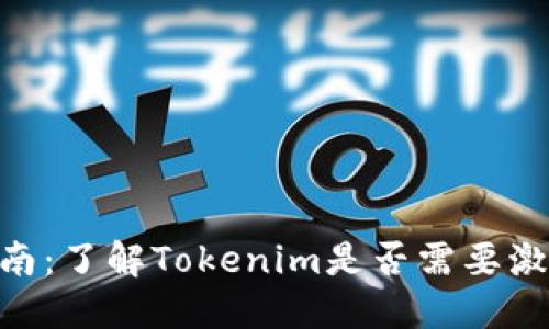 Tokenim激活指南：了解Tokenim是否需要激活以及如何处理