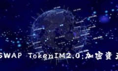 深入解析AKSWAP TokenIM2.0：加密资产的未来之路