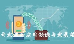 区块链开发者的应用领域与发展前景分析