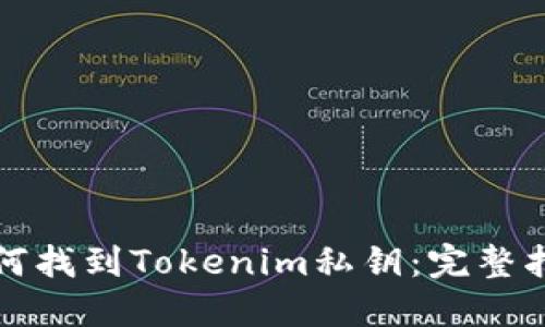 如何找到Tokenim私钥：完整指南